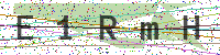 Enter Security Code
