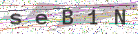 Enter Security Code