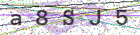 Sicherheitscode eingeben