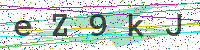 Enter Security Code