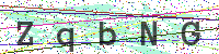 Enter Security Code