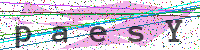 Enter Security Code