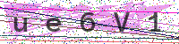 Enter Security Code
