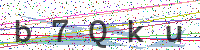 Enter Security Code