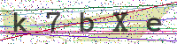 Sicherheitscode eingeben