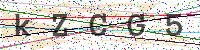 Enter Security Code