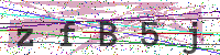 Sicherheitscode eingeben