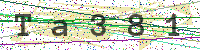 Enter Security Code