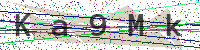 Enter Security Code