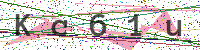 Enter Security Code