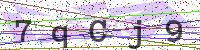 Enter Security Code