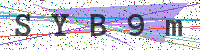 Sicherheitscode eingeben