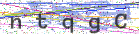 Sicherheitscode eingeben