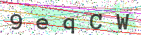 Enter Security Code