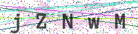 Enter Security Code