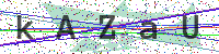 Sicherheitscode eingeben