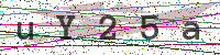 Enter Security Code