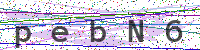 Enter Security Code