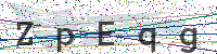Enter Security Code
