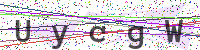 Enter Security Code