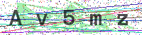 Enter Security Code