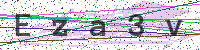 Enter Security Code