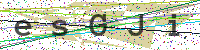 Enter Security Code