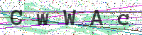 Enter Security Code
