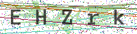 Enter Security Code