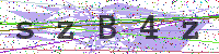 Enter Security Code