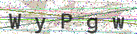 Enter Security Code