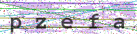 Enter Security Code