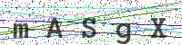 Enter Security Code