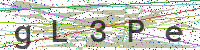 Enter Security Code