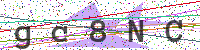 Enter Security Code