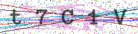 Sicherheitscode eingeben