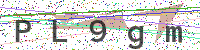 Enter Security Code
