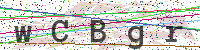 Enter Security Code