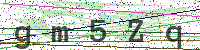 Enter Security Code