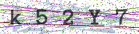 Enter Security Code