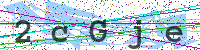 Enter Security Code