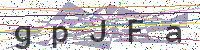 Enter Security Code