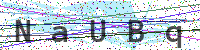 Enter Security Code