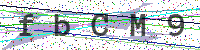 Enter Security Code