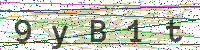 Sicherheitscode eingeben