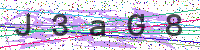 Enter Security Code
