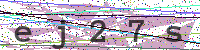 Enter Security Code