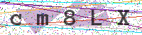 Sicherheitscode eingeben