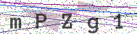 Enter Security Code