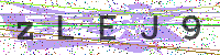 Enter Security Code
